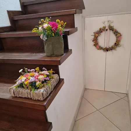 Casa Ofelia 3*